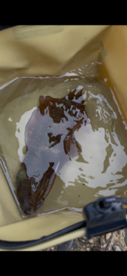 image0.png